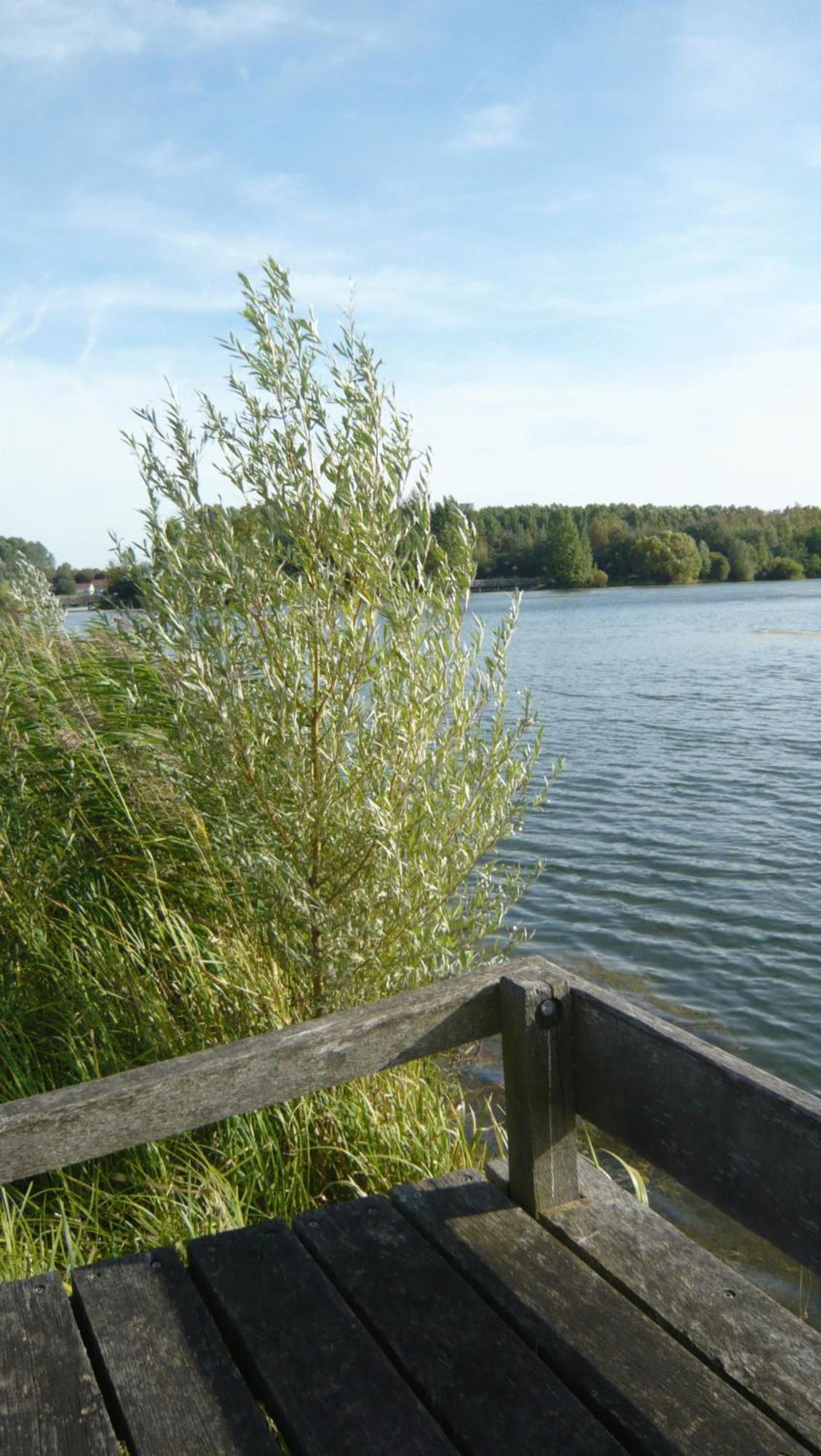 Beau Rivage Hotell Nogent-sur-Seine Exteriör bild